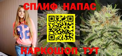 гидра Шебекино