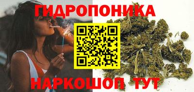 гидра Шебекино
